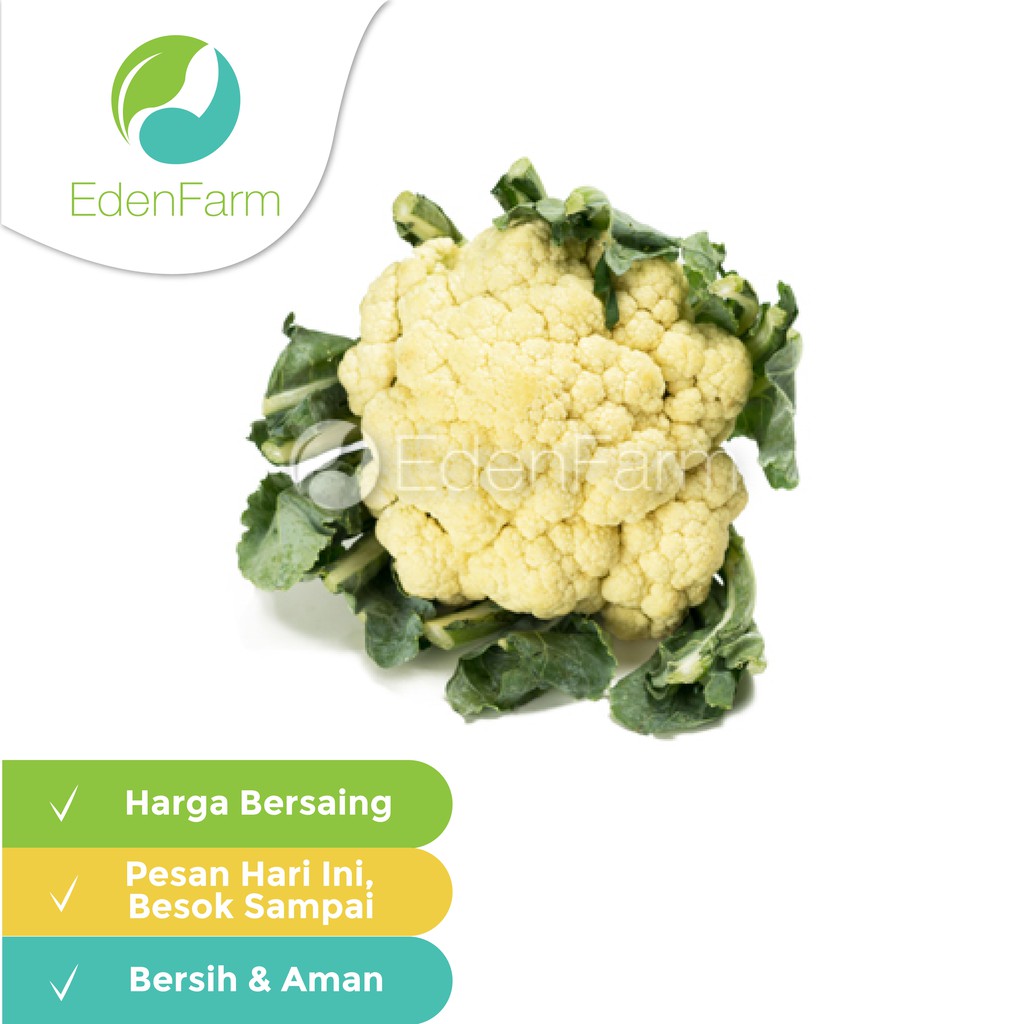 

Kembang Kol 250gr Eden Farm