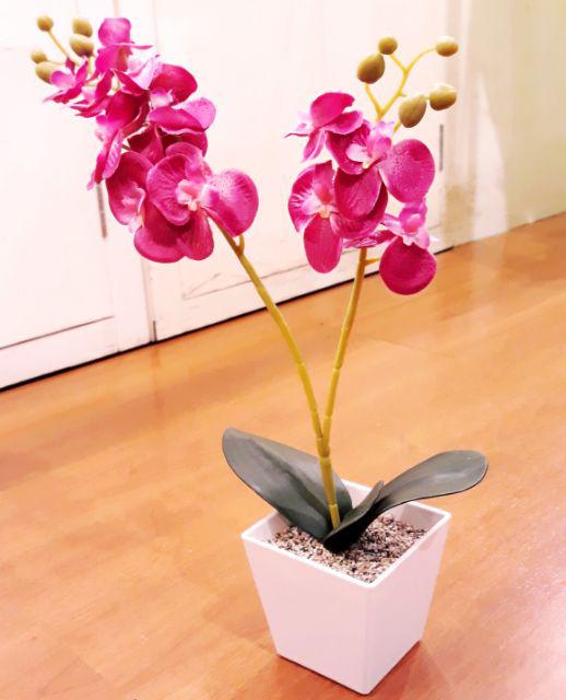 Set Bunga Plastik Anggrek1 Warna Warni Dengan Pot Melamin Putih Hexagonal Besar