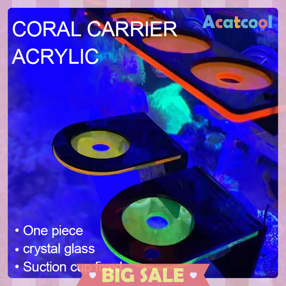 Fish Tank Fluorescence Coral Frag Rack Reef with Plugs Suction Holder Stand