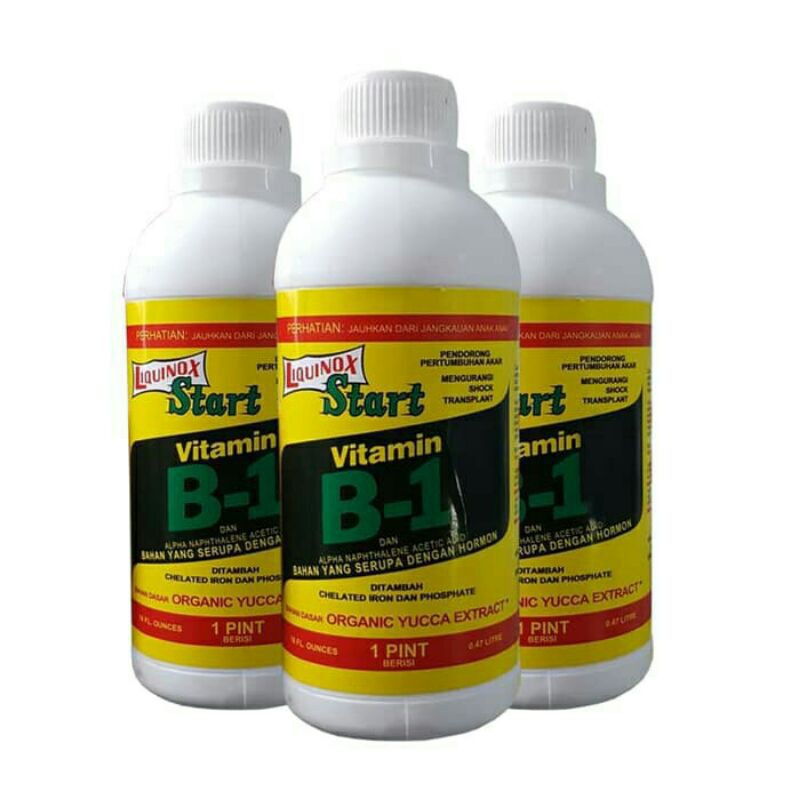 PUPUK VITAMIN B1 LIQUINOX 470 ml