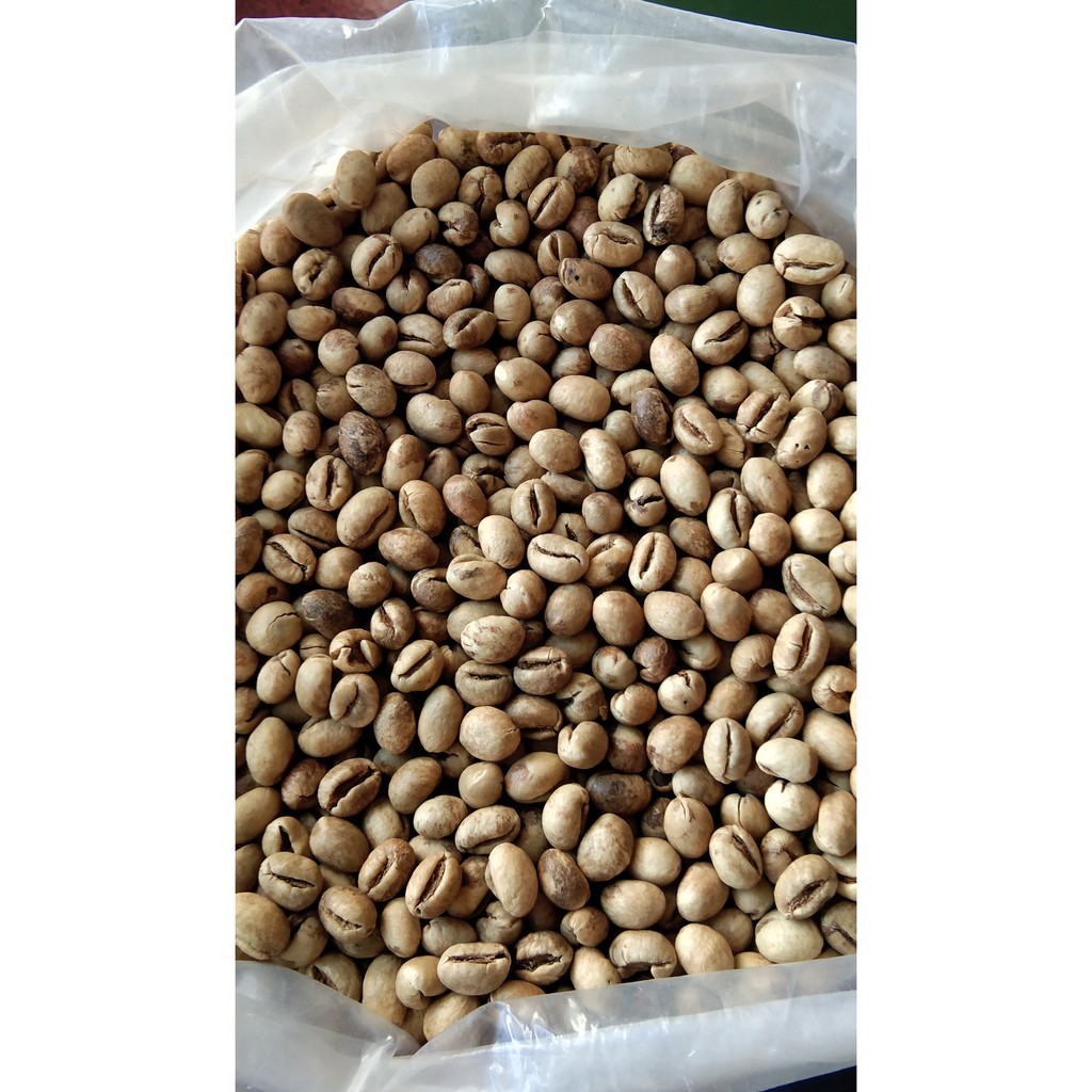 

Green Bean Peaberry / Kopi Lanang Robusta Dampit