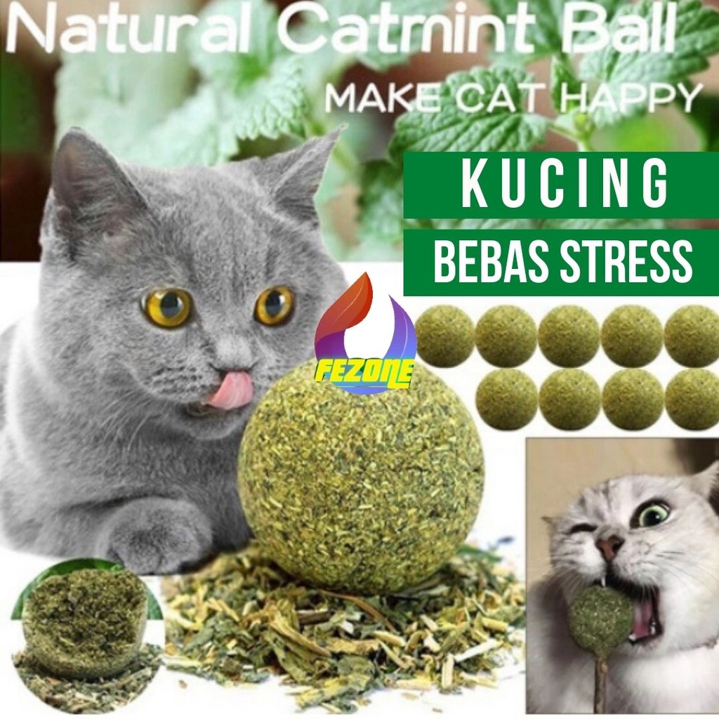 Catnip Ball - Bola Catnip Kucing Catnip Murni Snack Kucing Cat Toys FEZONE