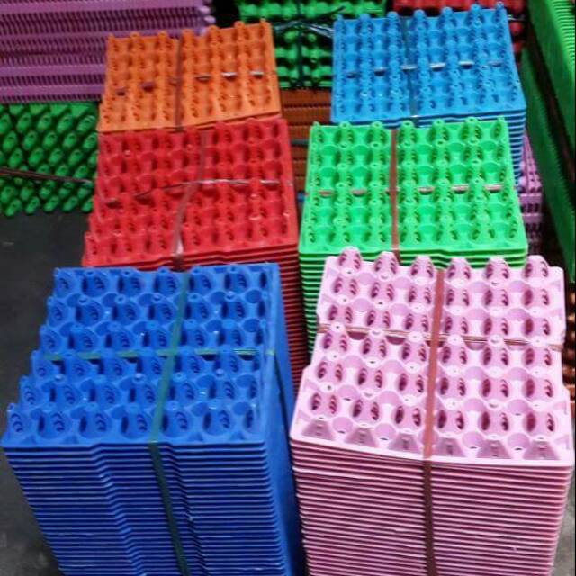 EGG TRAY PLASTIK