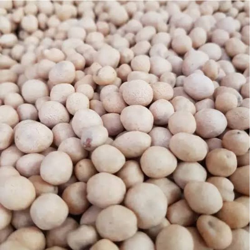 

Kacang Telur Oven / Kacang Atom - 200 Gram