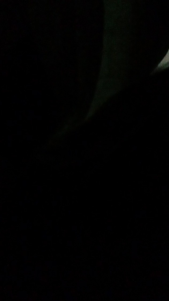 Dress Batik Anak Usia 2 Sampai 10 12 Tahun - Motif Batik Bervariasi - Batik Anak Harga Ecer Bisa Cod