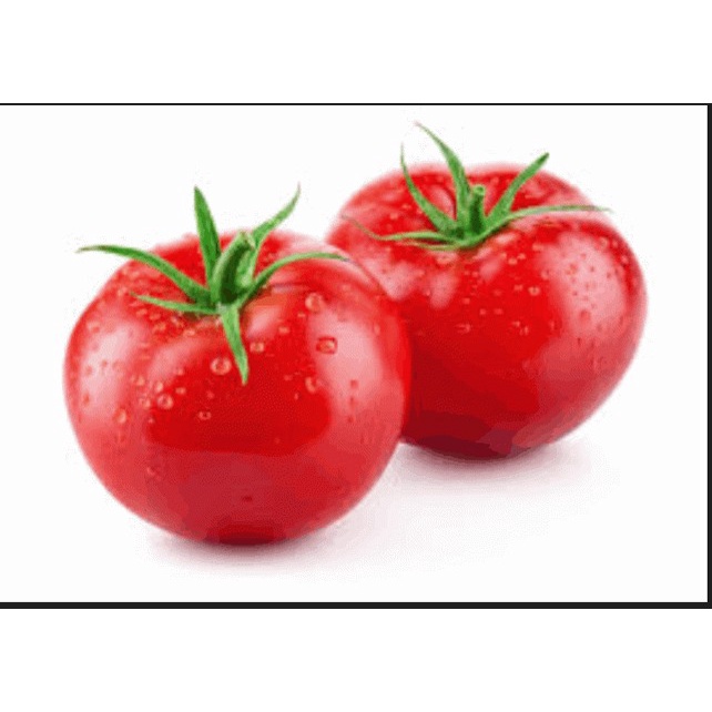 

KIRIM BESOK Tomat Buah (±500gr)