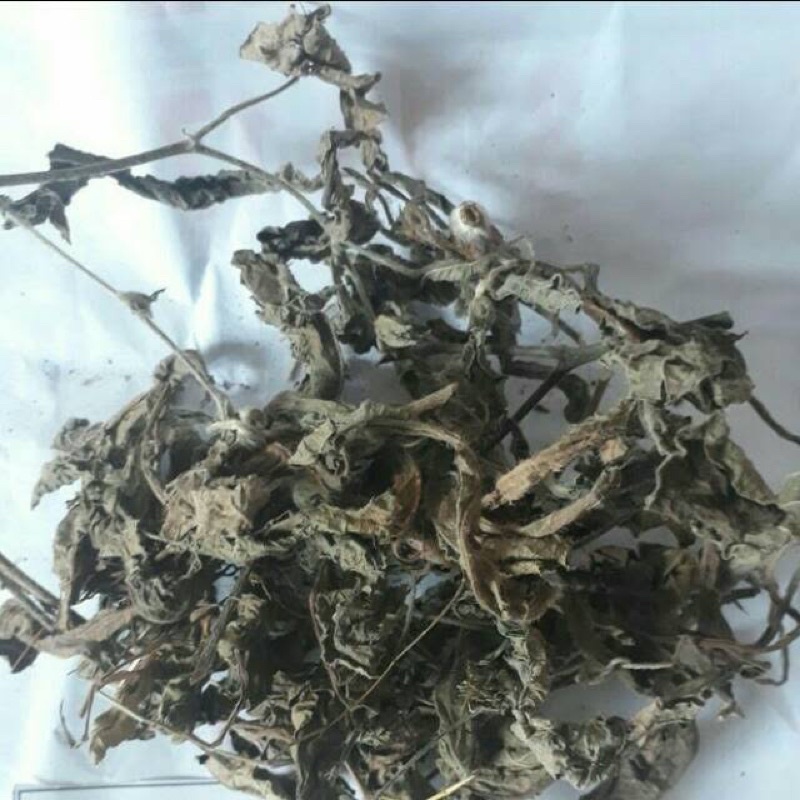 

Daun Tempuyung kering 100 gram