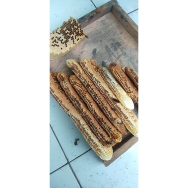

Sarang lebah madu