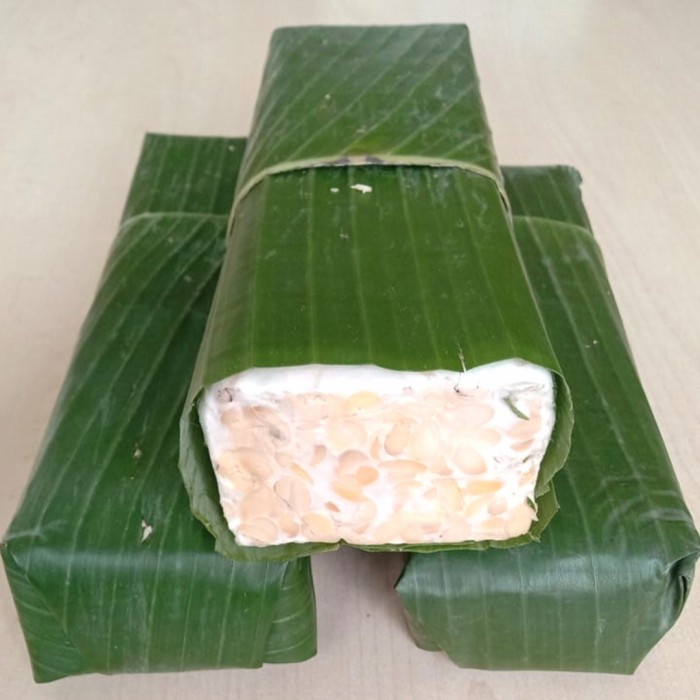 

TEMPE BALOK DAUN
