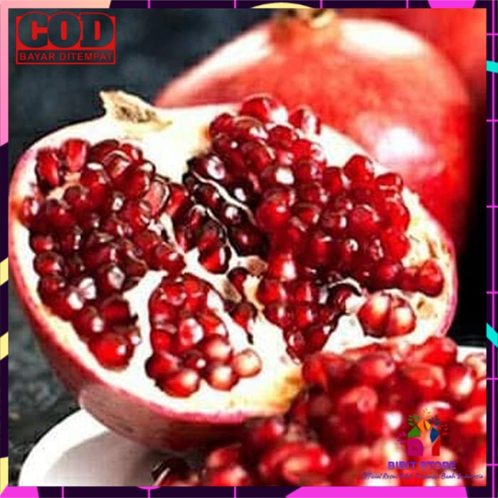 Bibit buah delima merah biji lunak red ruby pomegranate spanyol