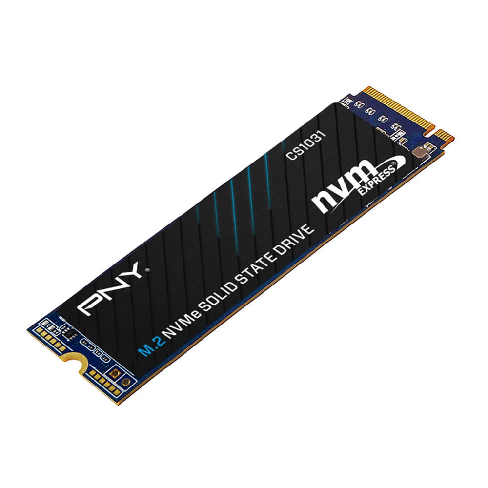 SSD PNY CS1031 256GB M.2 NVMe PCIe Gen3 x4 - Nampol Gan