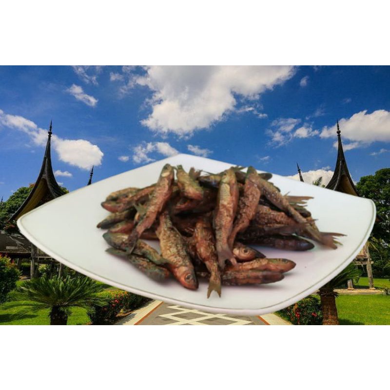 

ikan bada asap asli maninjau