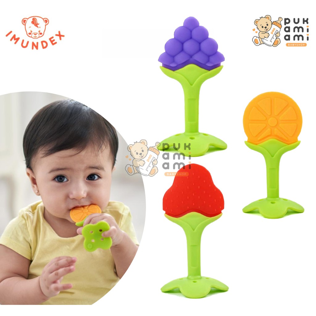 BABY TEETHER - IMUNDEX RING & GRIP TEETHER (FRUIT SERIES)