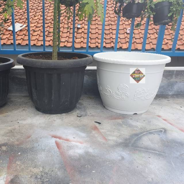 pot bunga tanaman shallom bulat putih 50cm - jumbo shallom