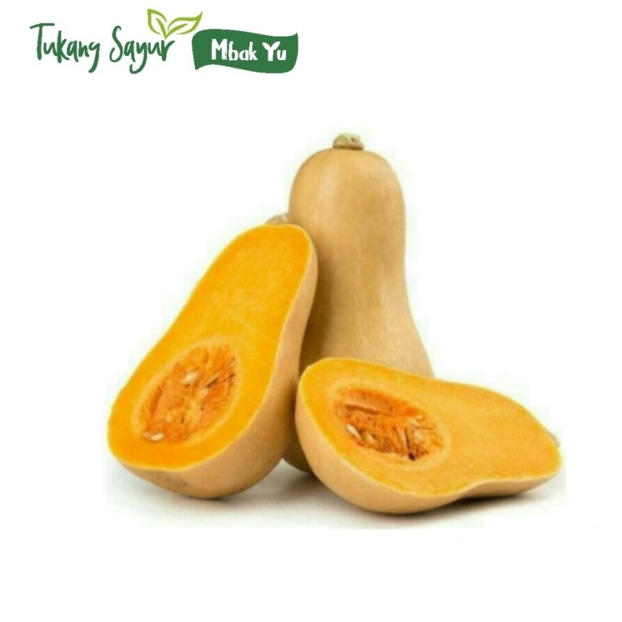 

labu butternut manis per buah