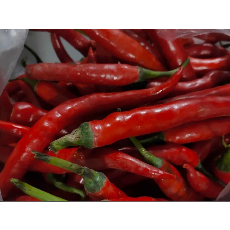 

Cabe merah / Cabe Besar