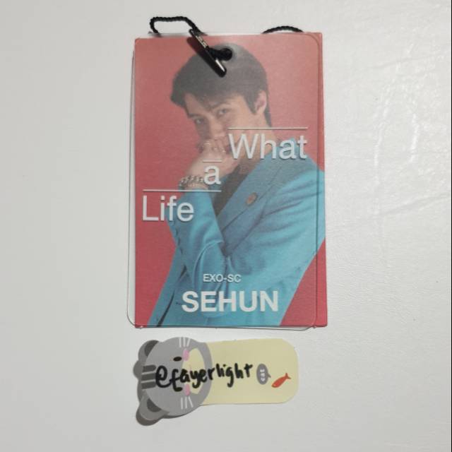 TAG SEHUN EXO SC WHAT A LIFE