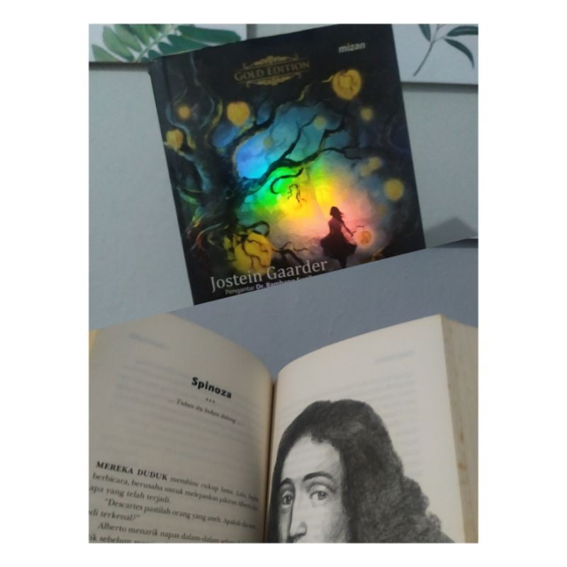 Preloved Novel Bekas Original " Dunia Sophie " Ori