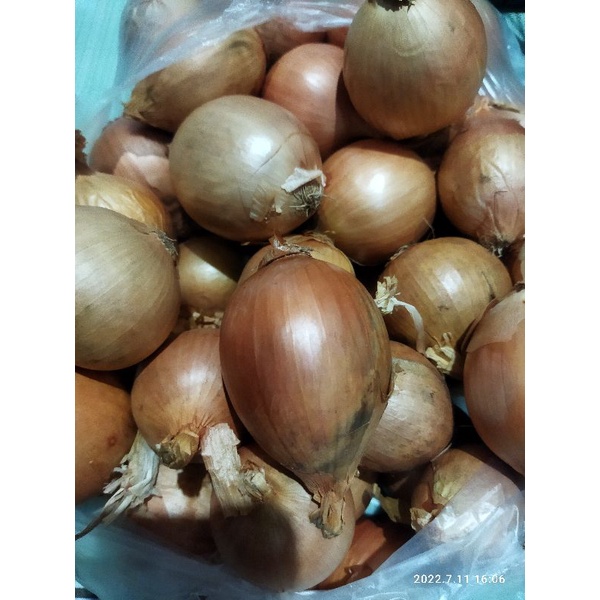 Bawang bombay 1 kg