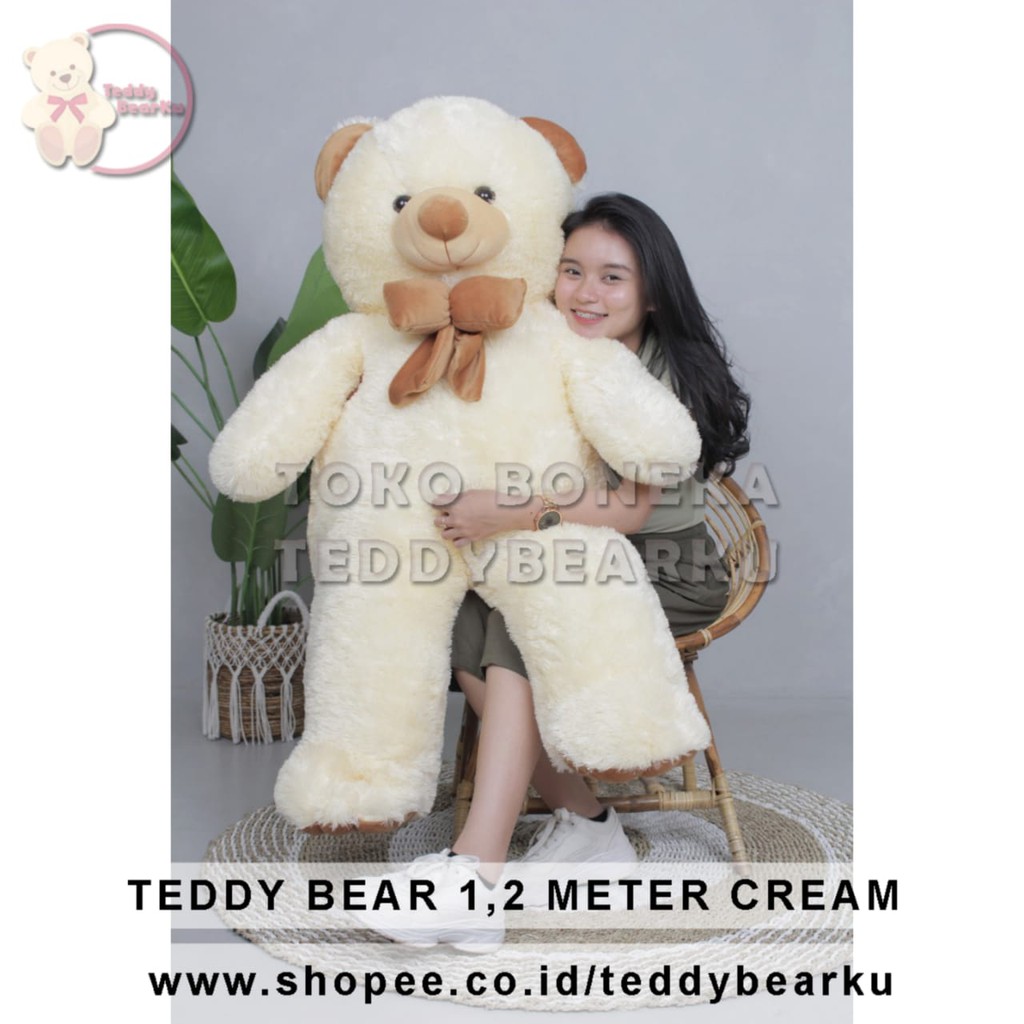 Boneka Teddy Bear Super Jumbo 1,2 Meter Warna Cream