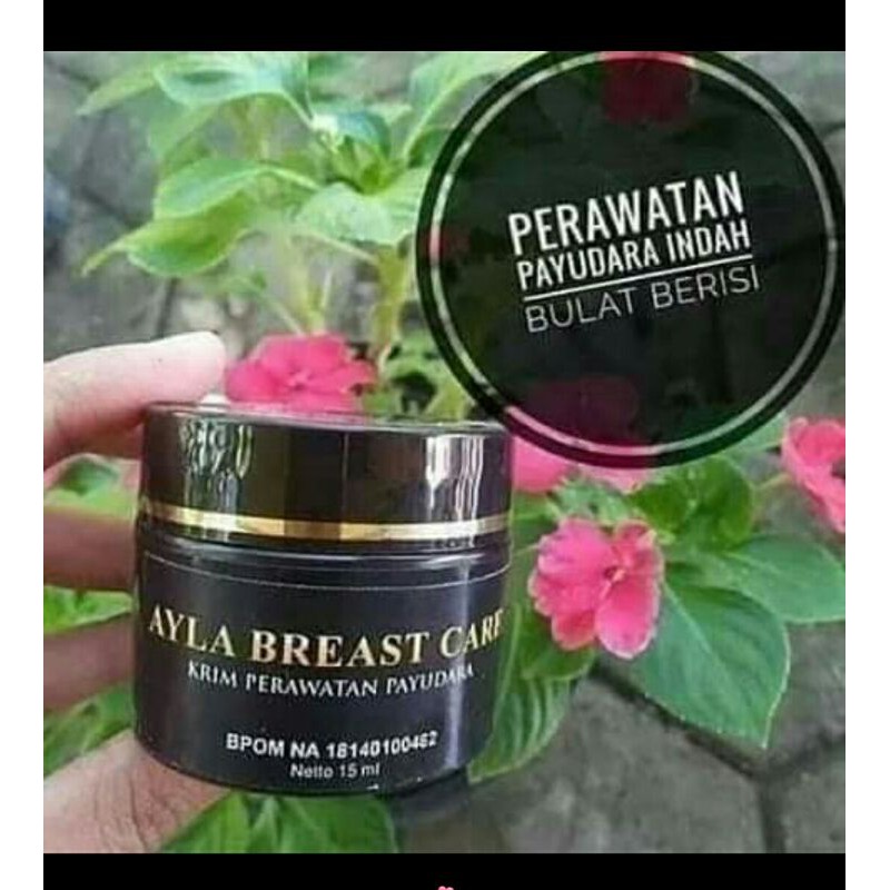 Pembesar payudara alami (original )