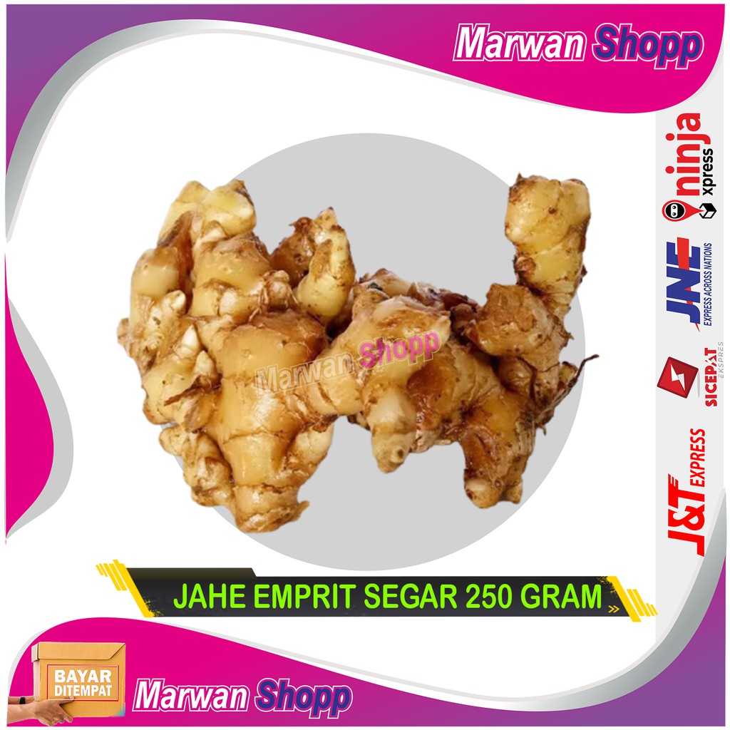 

JAHE EMPRIT 250 GRAM FRESH MARWAN SHOPP