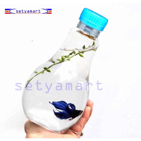 Lampu Aquarium Unik Cara Membuat Lampu Aquarium Dari Led Lampu Aquarium Unik Cara Membuat Lampu Aquarium Dari Led
