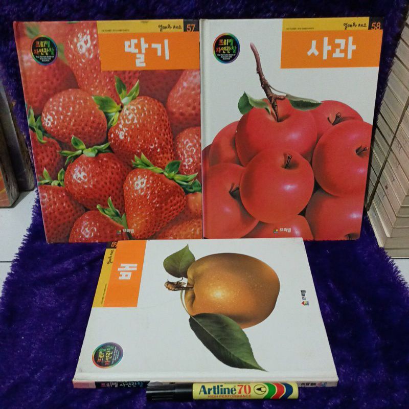 buku bahasa korea - buah buahan dan sayuran