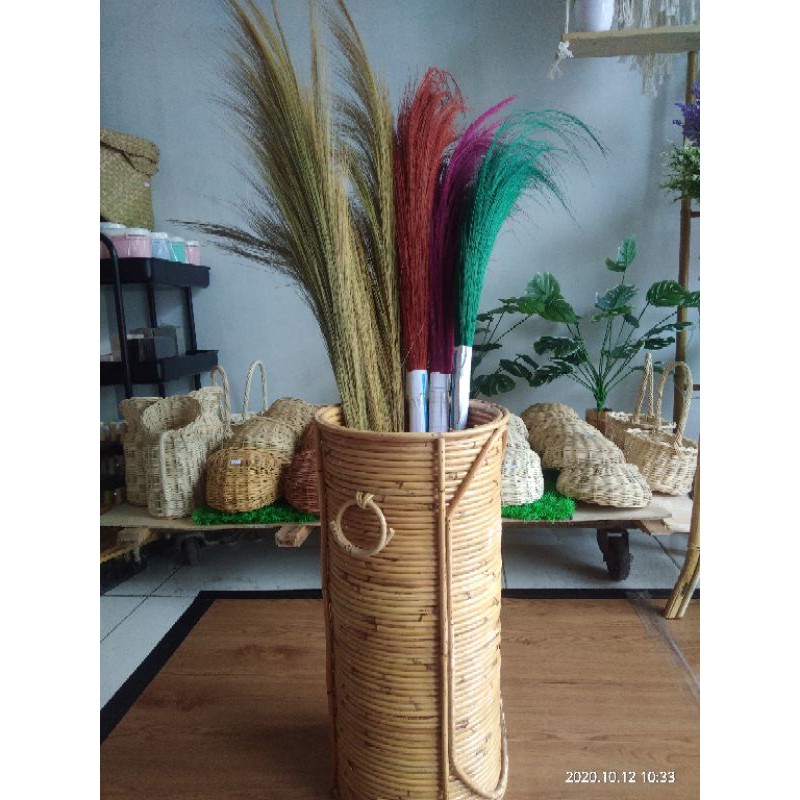 Bunga pampas rotan warna dan Bunga pampas rotan natural