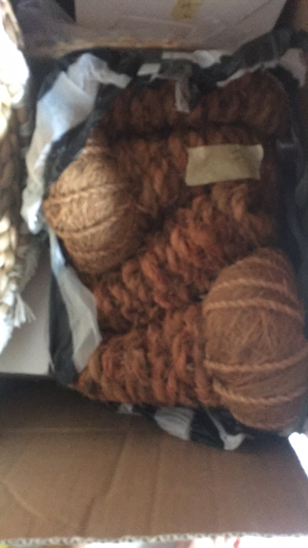 Pot Gantung Pot Serabut Kelapa Sabut Kelapa Pot Anggrek E