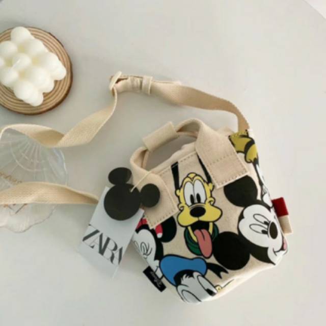 

ZR CANVAS X DISNEY MICKEY