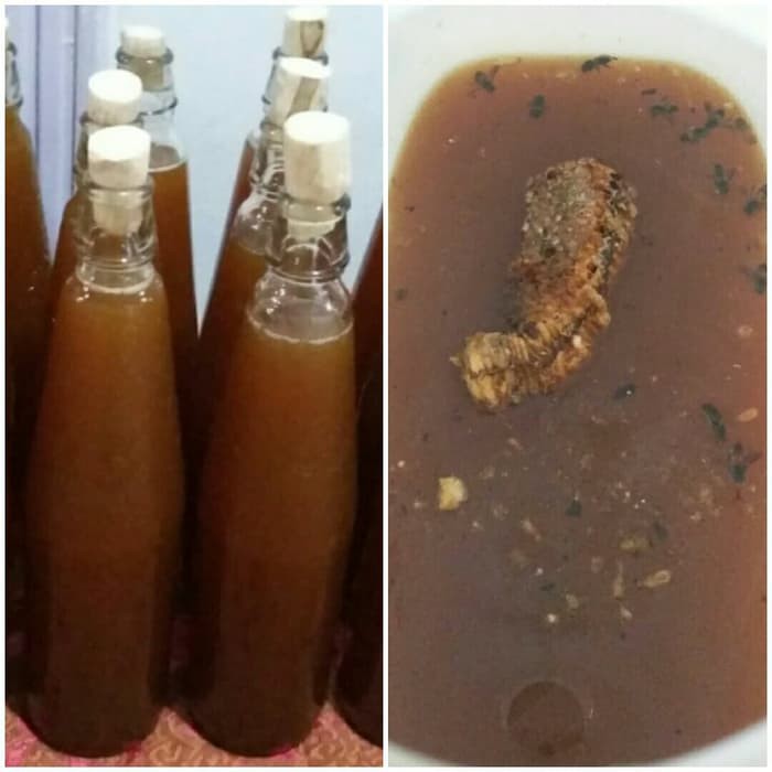 

MADU HUTAN ASLI 100% - MMD1460