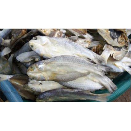

Ikan Asin Belanak Belah ( 500 Gr )