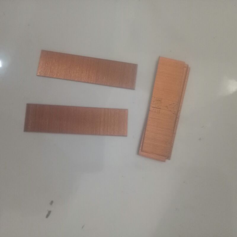 paku tin ( paku sabuk sangkar / paku kuning)