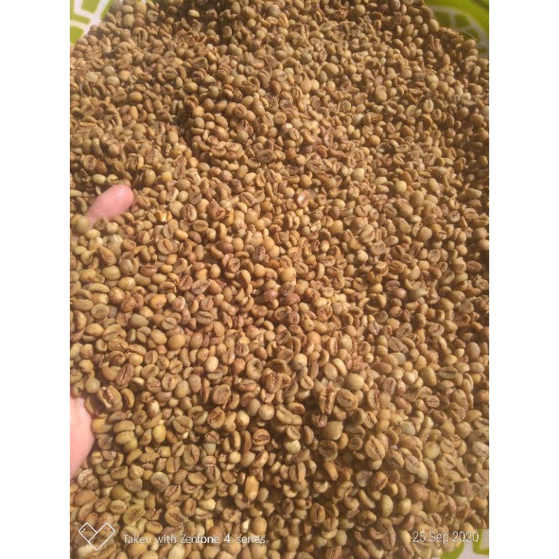 

Coffe Petik Merah by Dempo Citronella Oil