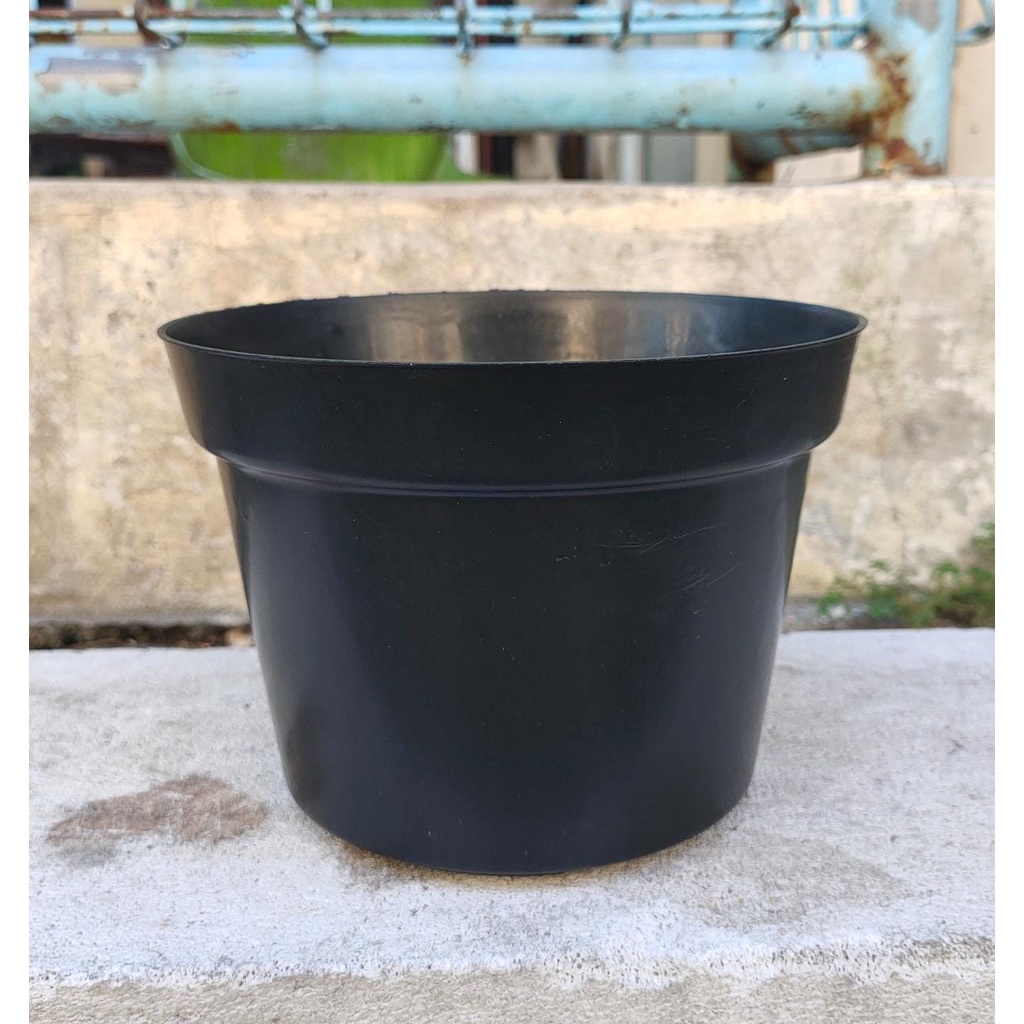 KOPENG - POT POLOS 30 hitam - pot bibit hitam - pot hitam polos - pot bunga - pot plastik