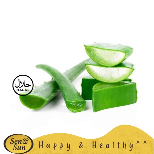 

Sen&Sun Lidah Buaya 1000 gr