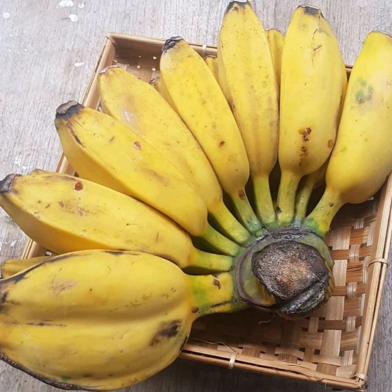

Pisang Kepok