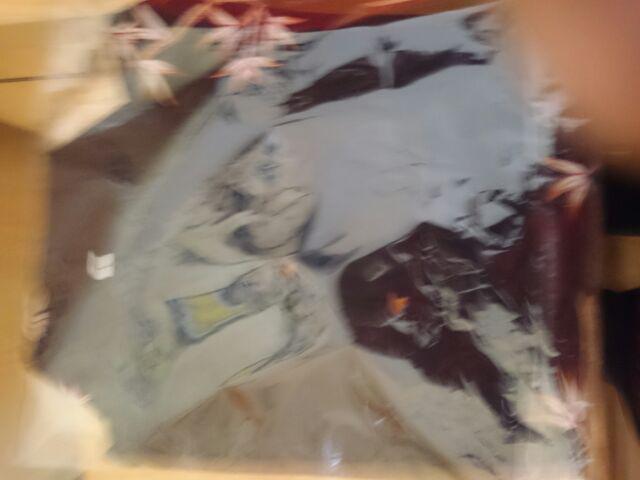 Kemeja Batik Pria | Gudangbatikcom | Lengan Panjang Merak