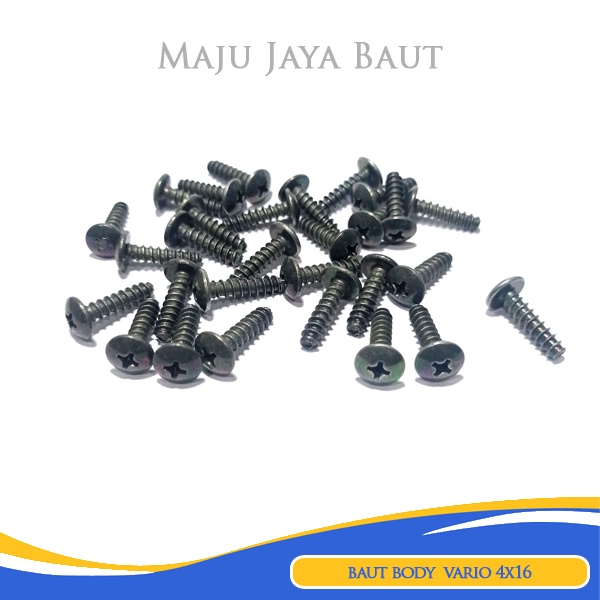 Baut Body Vario 4x16