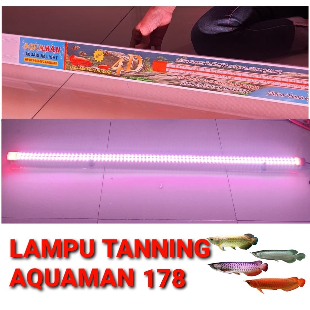 lampu tanning aquarium lampu tanning arwana Aquaman Spesial kontes