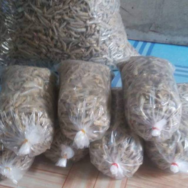 

Ikan teri 500grm