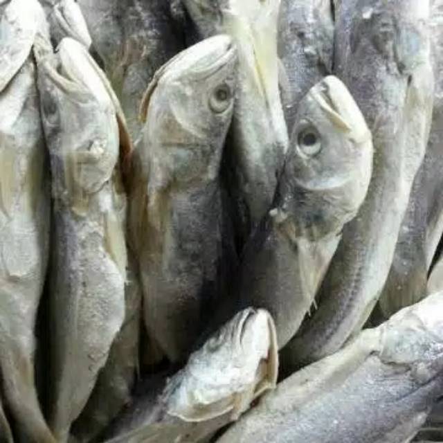 

IKAN ASIN SAMGE