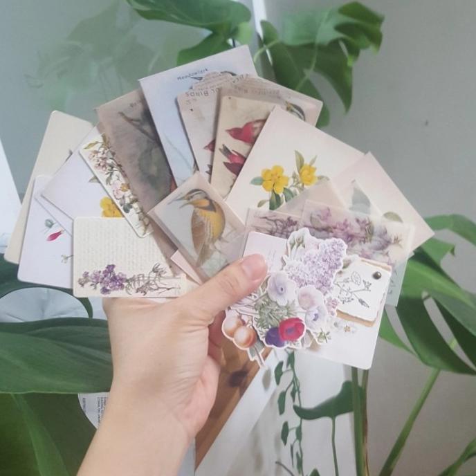 

Bergaransi Vintage Bird Flower Ephemera N Stickers Set Utk Bujo, Planner, Scrapbk Terbatas