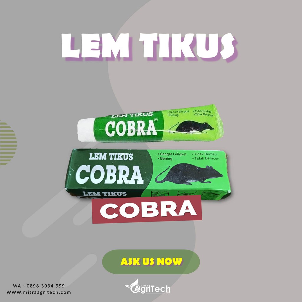 Lem Tikus Cobra Pembasmi Tikus - Cap Cobra