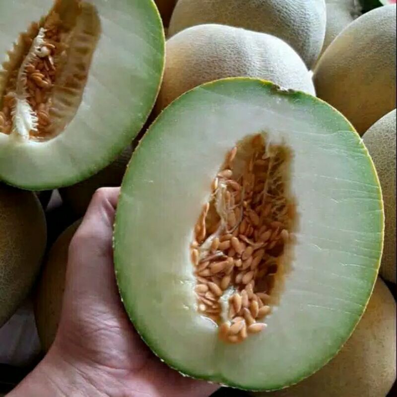 

Melon Madu Asli Ngawi Berat 1-2kg