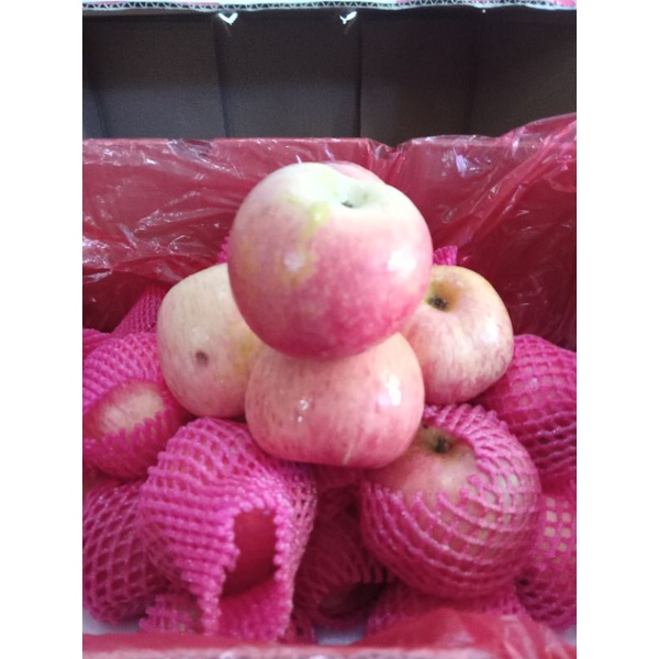 

buah apel fuji