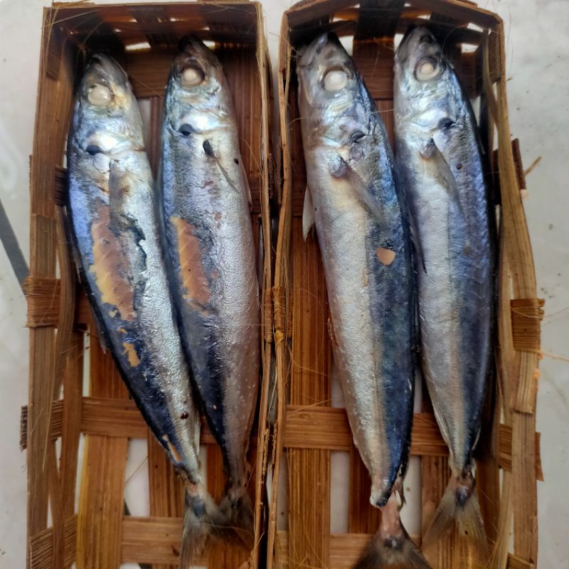 

ikan Cue keranjang