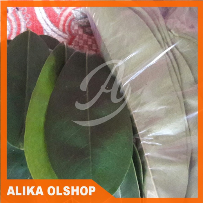 

DAUN SIRSAK TUA SEGAR 500g