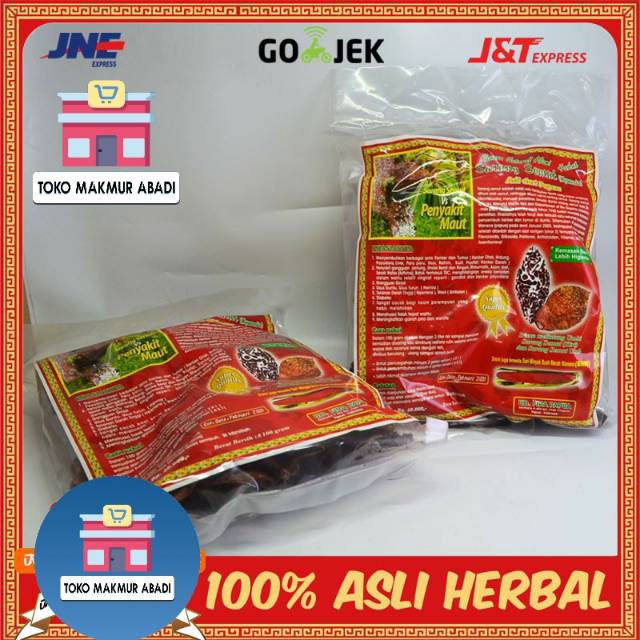 Sarang Semut Asli Papua 100 gram - UD. FIRA PAPUA Agen Distributor